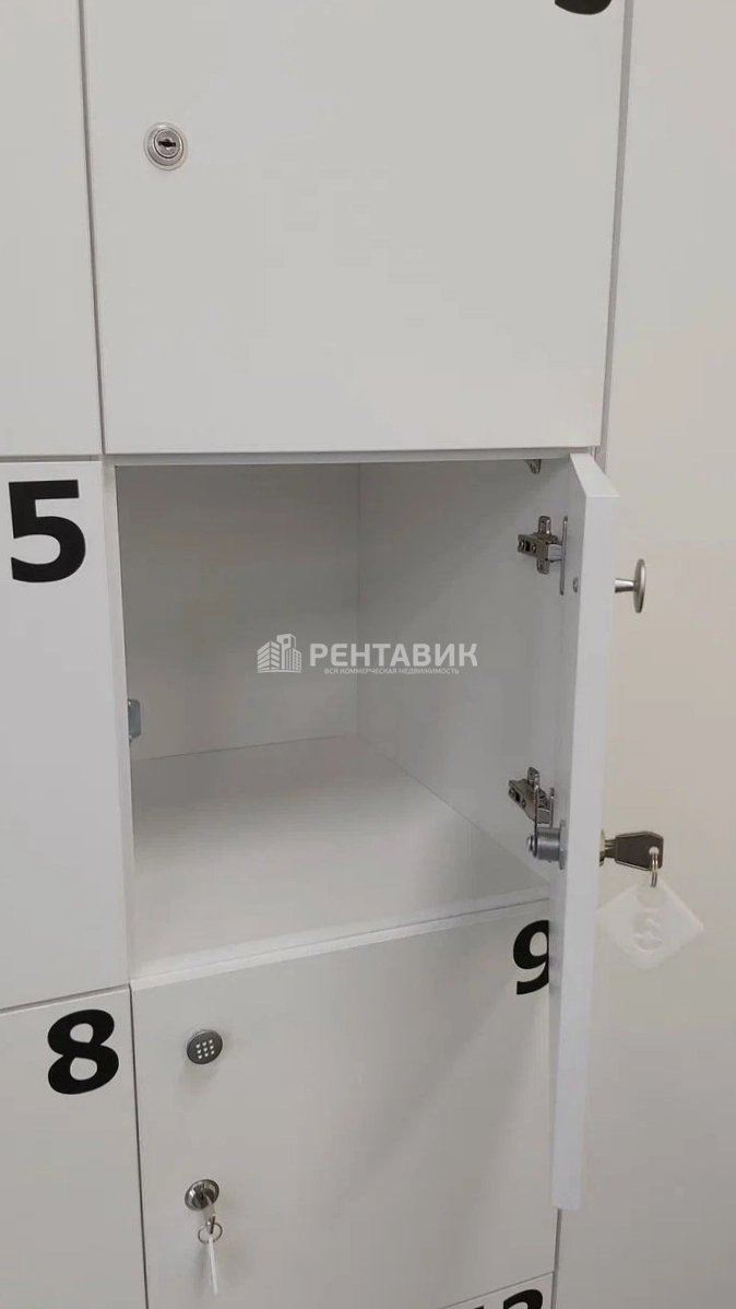 Офис Соты площадью 28 квадратных метров