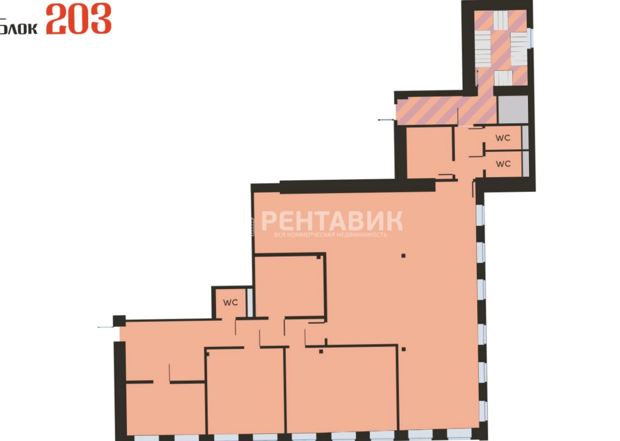 Офис Нега площадью 238 квадратных метров