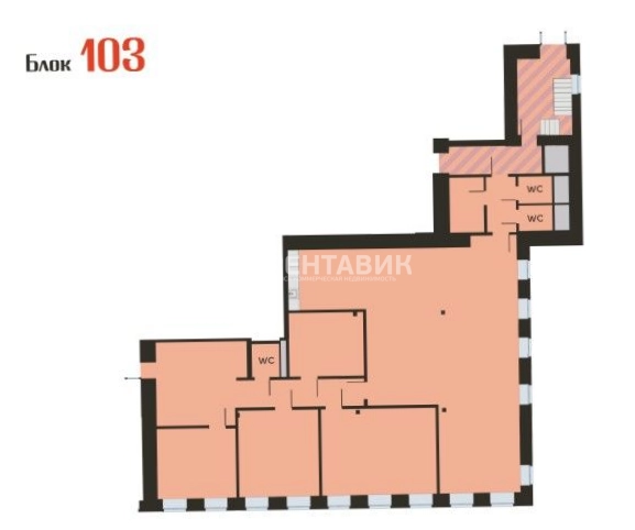 Офис Нега площадью 1163 квадратных метров