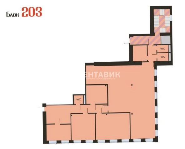 Офис Нега площадью 1163 квадратных метров
