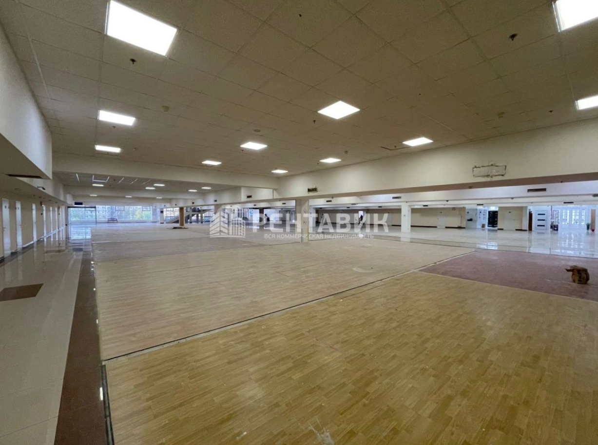Торговая площадь Аквилон площадью 210 квадратных метров