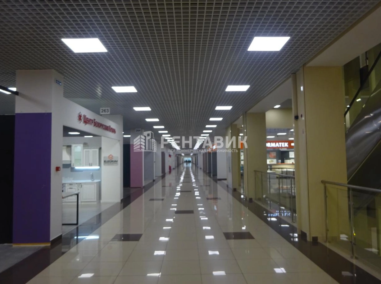 Торговая площадь Богатырь площадью 250 квадратных метров