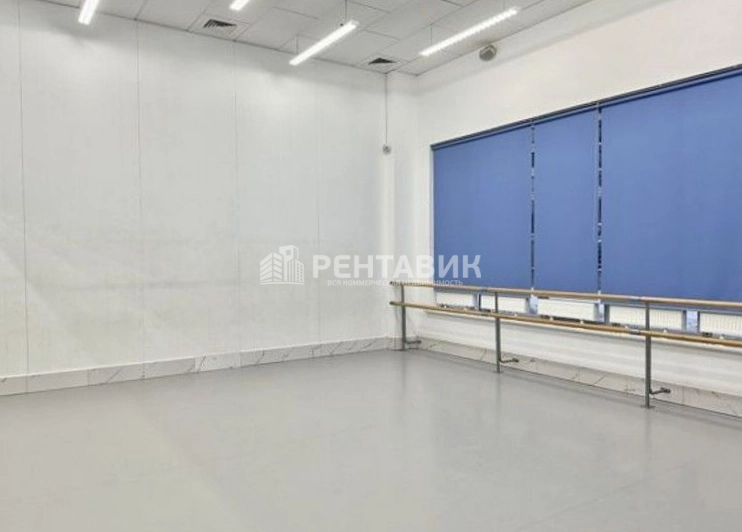 Помещение свободного назначения Дунай площадью 300 квадратных метров