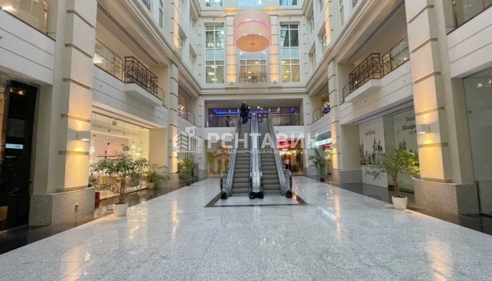 Здание Nevskij Plaza / Невский Плаза по адресу г Санкт-Петербург, Невский пр-кт, д 55