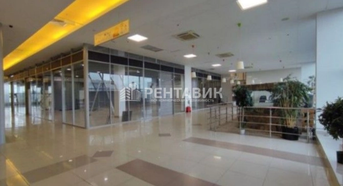 Торговая площадь Старая Деревня площадью 216 квадратных метров