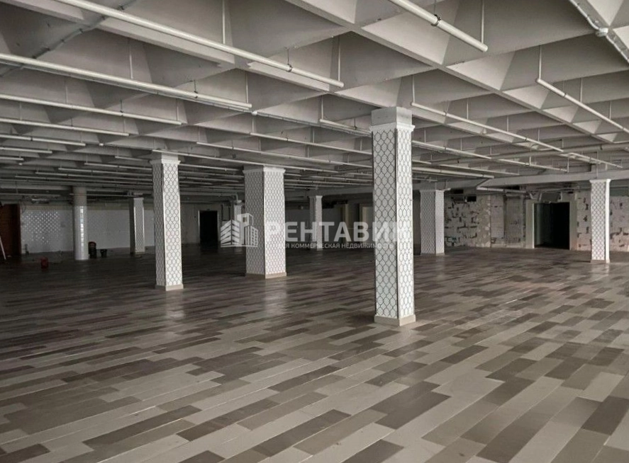 Торговая площадь Савушкина, 119 площадью 518 квадратных метров
