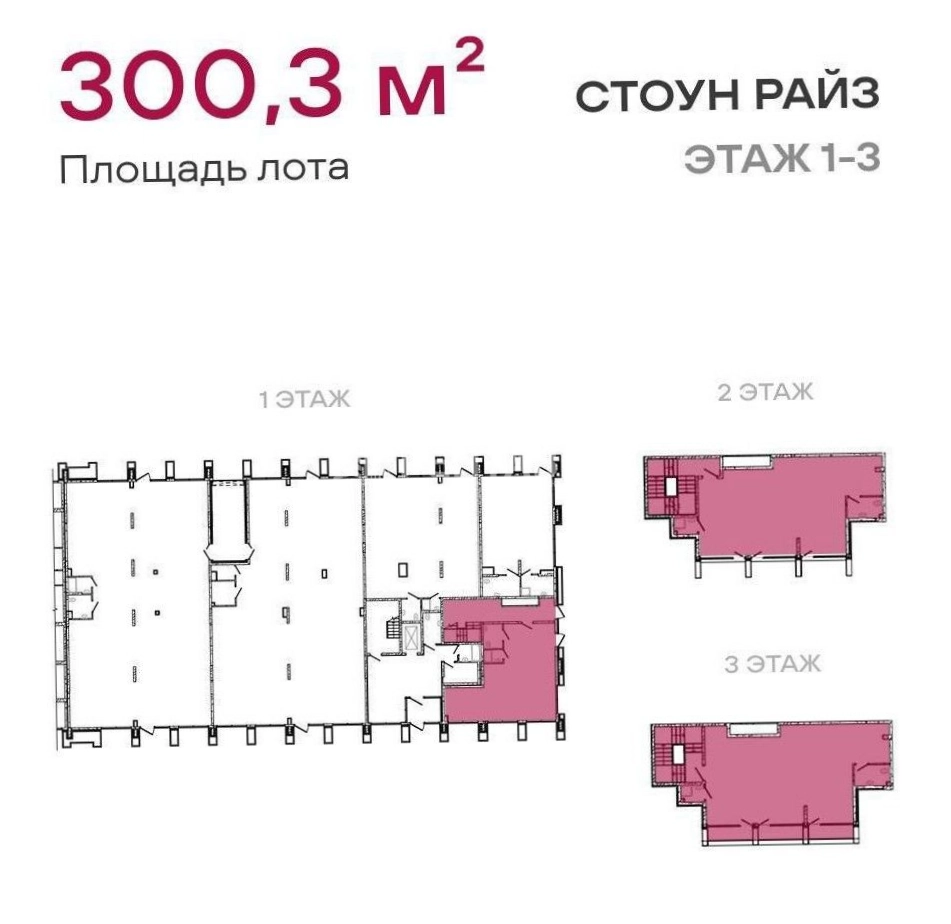 Торговая площадь СТОУН Райз площадью 300.3 квадратных метров