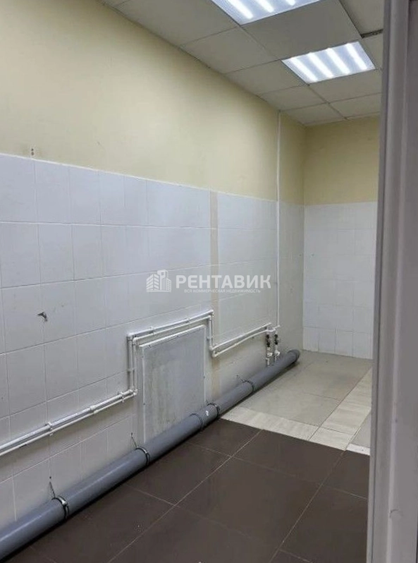 Торговая площадь Первомайская, 81 площадью 84.8 квадратных метров
