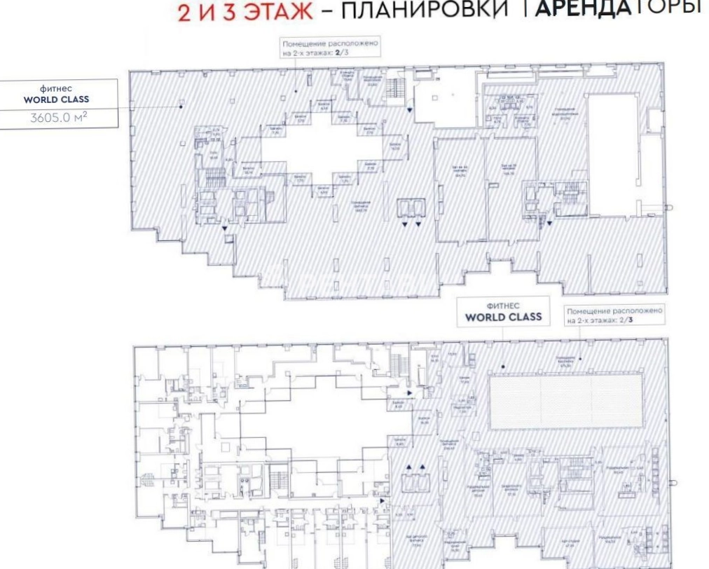 Торговая площадь Red7 площадью 5100 квадратных метров